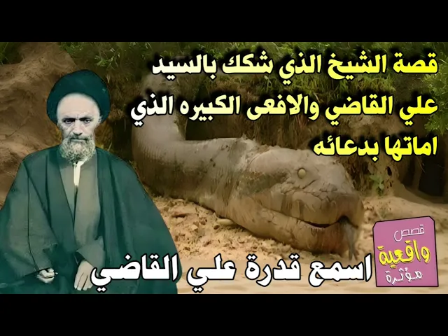 ⁣قصة الشيخ الذي شكك بقدرة السيد علي القاضي والافعى الكبيره الذي اماتها السيد علي القاضي امام الشيخ