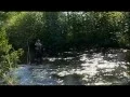 Visit River Falls
