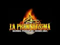 Reza - La Prendidisima Banda Perla De Jerez