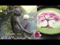 Find Your Peace Of Mind (A 2000s Zen playlist 🪷)