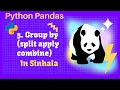 Python Pandas Tutorial 5 Group By Split Apply Combine in sinhala