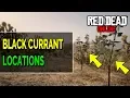 Red Dead Online Black Currant Locations RDR2