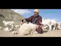 How It s Made Pashmina Shawl Kashmers com