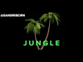 JUNGLE - instrumental teaser 🎶