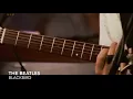 【和訳】The Beatles - Blackbird | 夜明けに歌っている
