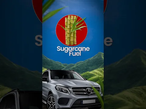 What if your next car runs on sugarcane instead of petrol?