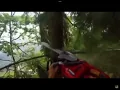 Download Lagu Flying tree meme