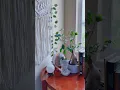 Late Spring Boho Bedroom Refresh Amazon items under Boho Bedroom Decor