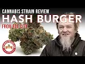 Hash Burger Strain Review - Fog City Brand
