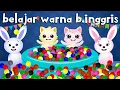 Download Lagu Lagu Warna Bahasa Inggris Paling Mudah Diingat