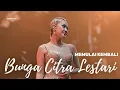 Download Lagu BUNGA CITRA LESTARI - MEMULAI KEMBALI (BALLROOM SURABAYA)