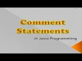 Comment Statements in Java ICSE Syllabus
