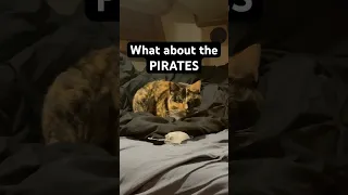 I’m a pirates worst nightmare