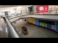 Westminster Mall is now a complete ghost town ghost mall