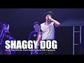 [HD] Shaggy Dog - Ambilkan Gelas (Live at Diplo FEST 2018)
