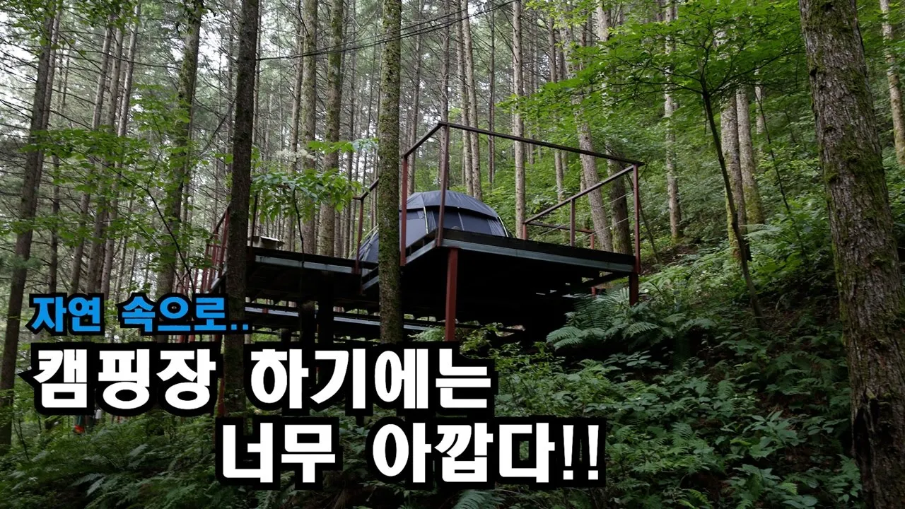 너무도 유명한..자연 그대로의 숲 캠핑지/한달 동안 푹 쉬었으면 좋겠다 썸네일