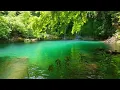 NO ADS Peaceful Escape Zen Music Water Sounds for Sleep Meditation Relaxation