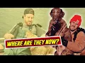 What happened to Life Below Zero Johnny Rolfe and his dog Java