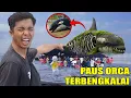 Download Lagu WE FOUND A 1200 YEAR ABANDONED OCRA WHALE?!