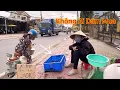 Download Lagu VÔ MÙA CHỈ MỘT ĐÊM DÍNH BẦY CÁ KHỦNG KHIẾP LIỀN ĐEM RA LỀ ĐƯỜNG HAI VỢ CHỒNG NGỒI BÁN