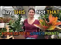 Buy THIS Not THAT - Big Box Plants