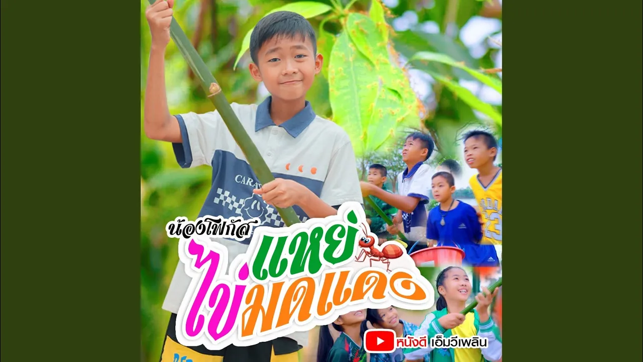แหย่ไข่มดแดง แหย่ไข่มดแดง
