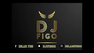 ريمكس محمود الليثي ووديع الشيخ اخوك محدش يشغله الثبات Dj FiGo 