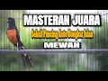 Download Lagu MASTERAN TERBAIK MURAI BATU DI PAGI HARI FULL ISIAN PANJANG,SEKALI PANCING AMPUH BIKIN MURAI GACOR