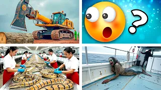 20 Cosas que NO Sabías hace 5 minutos ⏰😲 (23)