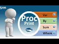 PROC PRINT in SAS PROC PRINT OPTIONS - OBS VAR TITLE BY SUM WHERE FOOTNOTES