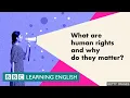 What are human rights and why do they matter An animated explainer