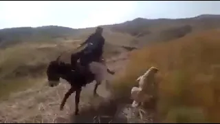 رؤوف خليف يوزع    دندنها