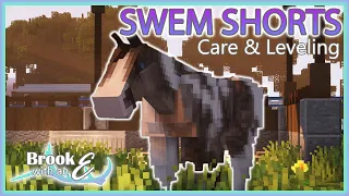 SWEM SHORTS - A Simple Guide to SWEM How to care and level your horse