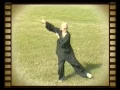 Daoist/ Bagua Master Lu Zijian (117) - Taiyi Huolong Palm