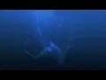 Download Lagu Gilone - Slow Down [Official Video]
