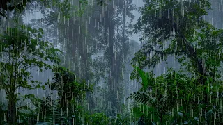 Rain Sounds for Sleeping | Fall Asleep to Rain in a Dense Rainforest