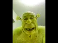Shrek That ll do donkey that ll do
