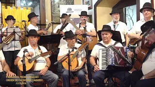PARRANDA PEDRO HIDALGO GRAN ACTUACION EN LA ORDEN DEL CACHORRO CANARIO