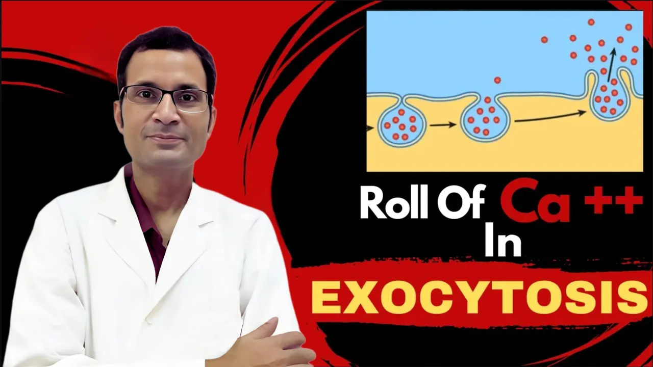 The Calcium Connection: Unveiling the Magical Role of Ca++ in Exocytosis! | | NEET PG |