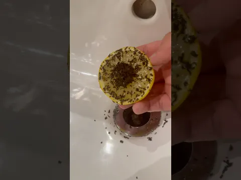 Лимон в раковине