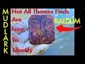 Lagu 206  -  Not All Thames Finds Are Easy To Identify
