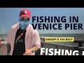 Multi Species fishing at Venice Pier