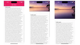 Flutter create custom scroll view animation An Image Into an App Bar