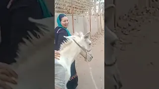 ا انا مش فاتحها سداح مداح Birthdayfood Funnyحياة السعودية الرياض الكويت قطر عمان الاردن الامارات 