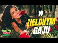 Lagu W zielonym gaju - RETRO BAND 🎷🌟 Dęblin Puławy ❤️  Weselne. Biesiadne