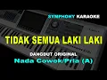 Download Lagu TIDAK SEMUA LAKI LAKI KARAOKE NADA COWOK/PRIA
