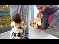 Download Lagu Emotional Goodbye Monkey Bibi Says Farewell to Dad