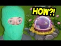 COMPLETING PLANT ISLAND AGAIN