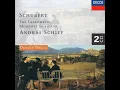 Schubert: 6 Moments musicaux, D. 780: No. 3 in F Minor. Allegro moderato