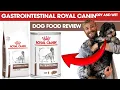 Gastrointestinal Royal Canin Dry and Wet Dog Food Review - The Dog Nutritionist